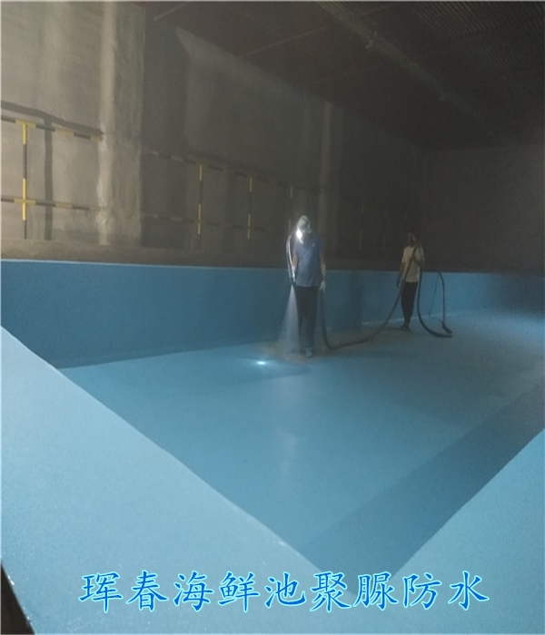 珲春海鲜池聚脲防水 (3)