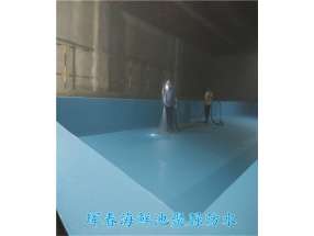 珲春海鲜池聚脲防水 (3)