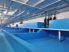 珲春帝王蟹暂养池